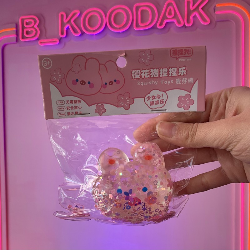 اسکوییشی خرگوش