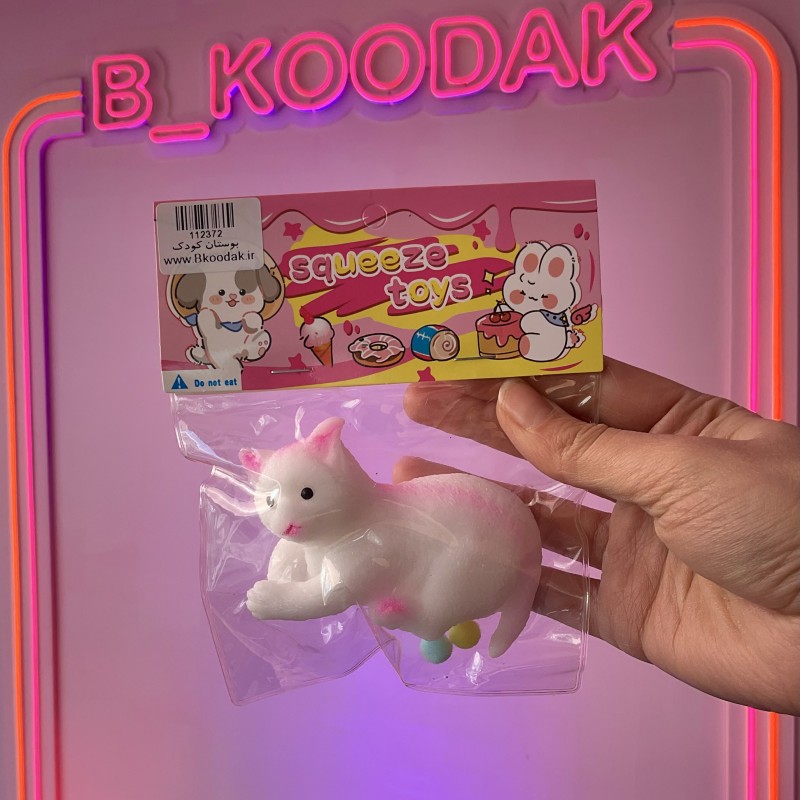 اسکوییشی گربه