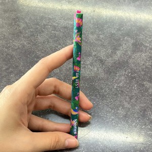 خودکار پاکنی اسکول فنس