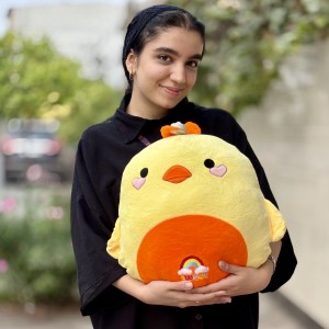 پتو بالشتی جوجه نرمالو