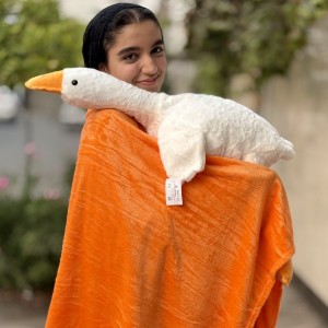 پتو بالشتی غاز