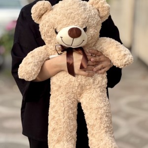 پتو بالشتی غاز