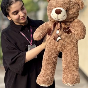 پتو بالشتی غاز