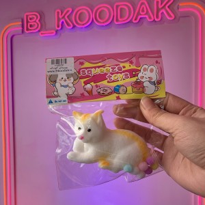 اسکوییشی گربه