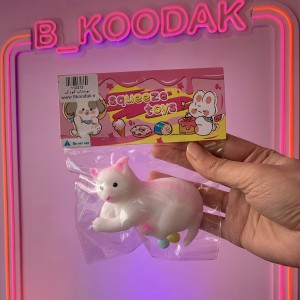 اسکوییشی گربه