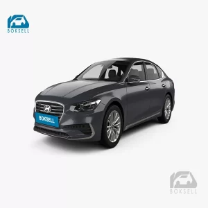 لنت عقب هیوندای  آزرا 2019