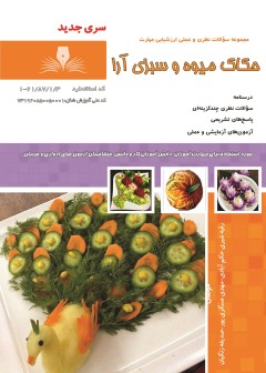 تست حکاک میوه و سبزی آرا