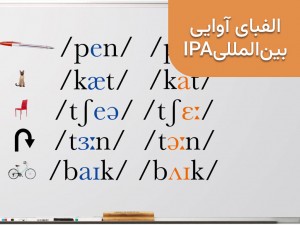 فونتیک IPA | راهنمای کامل الفبای آوایی بین‌المللی برای تلفظ صحیح زبان‌ها
