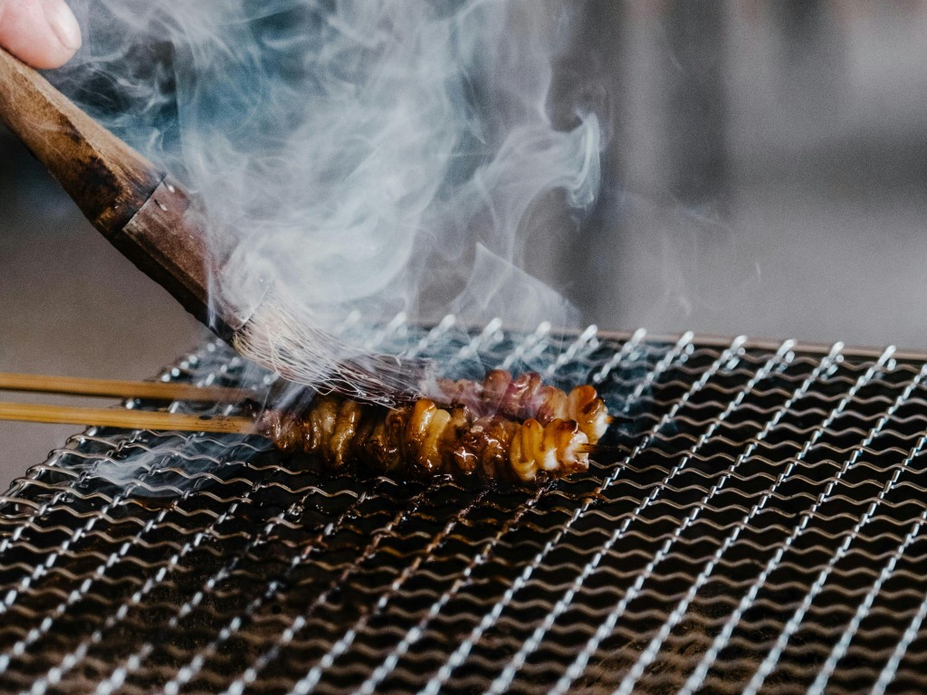 فروش کباب پز بدون دود