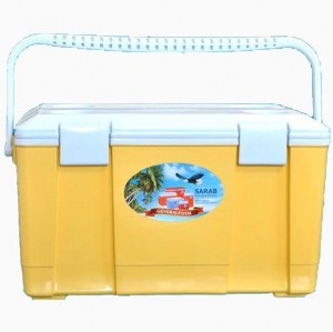 یخدان (کلمن) پلاستیکی 22 لیتری پیک نیک سراب