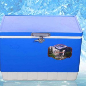 یخدان (کلمن) مسافرتی کویر سراب 47 لیتری