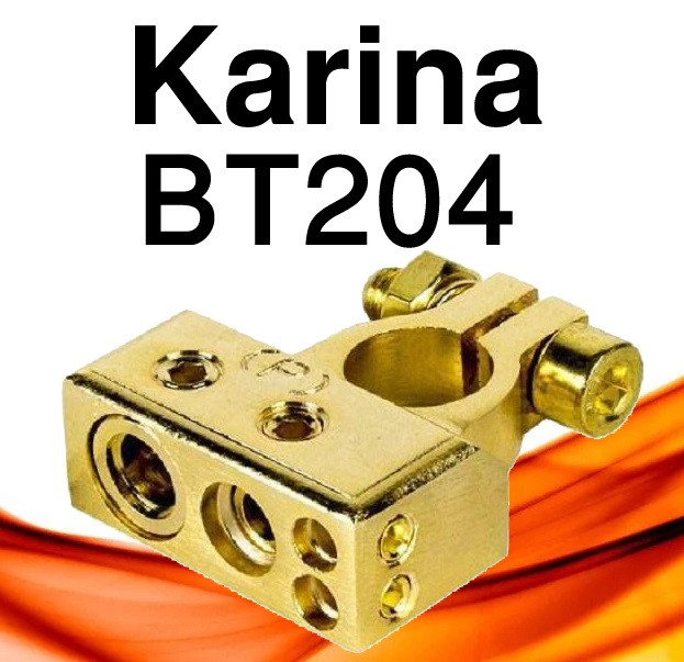 204-KARINA BT سر باتری کارینا