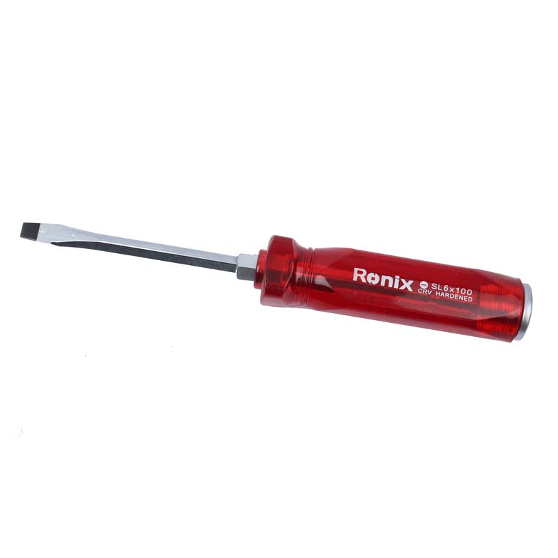 پیچ گوشتی دوسو Ronix RH-2960 6*100mm