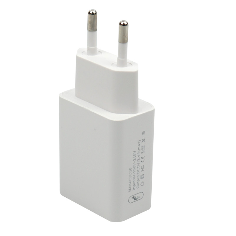 شارژر دیواری 12 وات اسکای دلفین SC36 2.4A