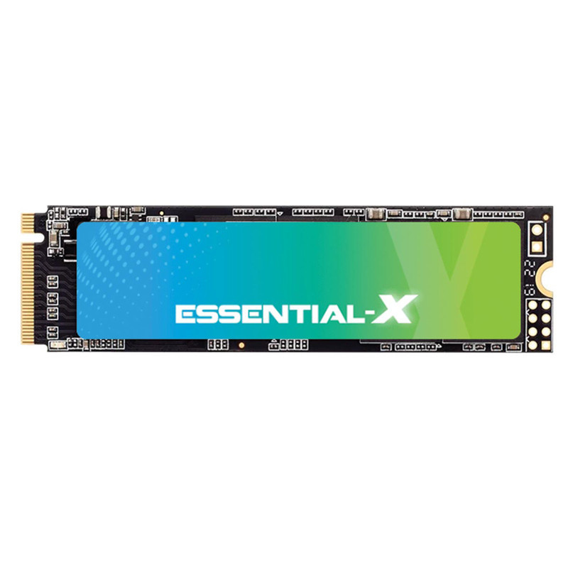 حافظه SSD اگزاسند ExAscend Essential X 256GB M.2