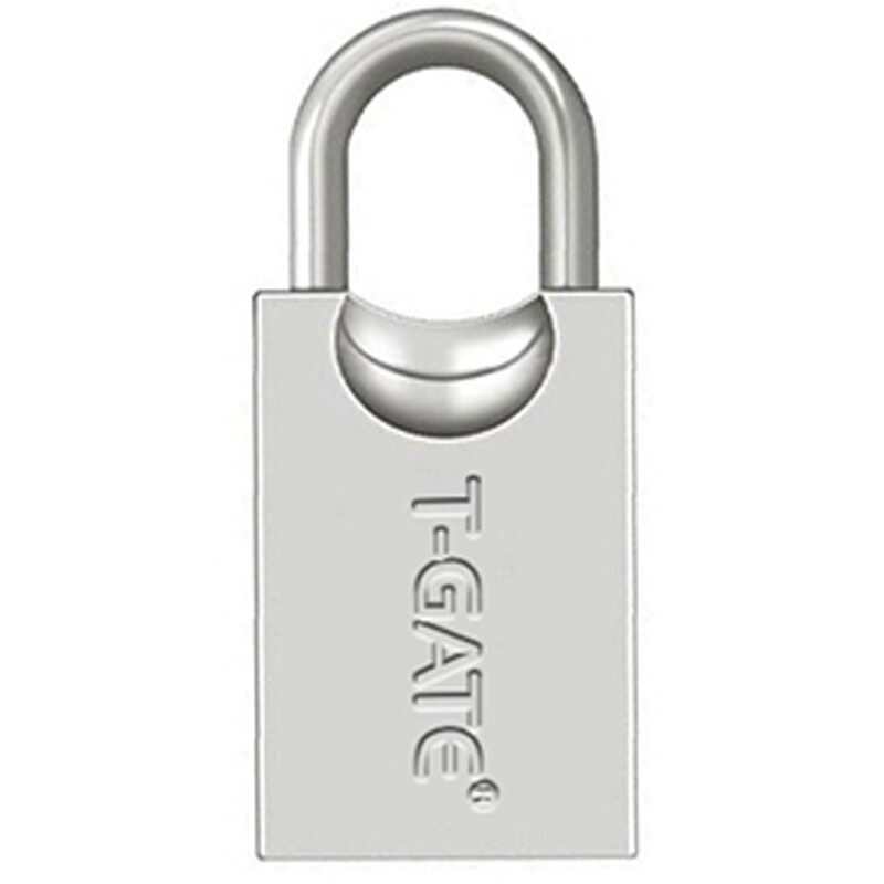 فلش 64 گیگ تی گیت T-GATE T106