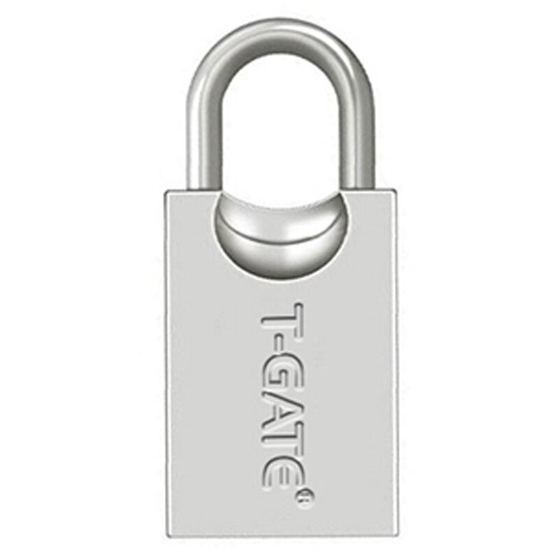 فلش 16 گیگ تی گیت T-GATE T106