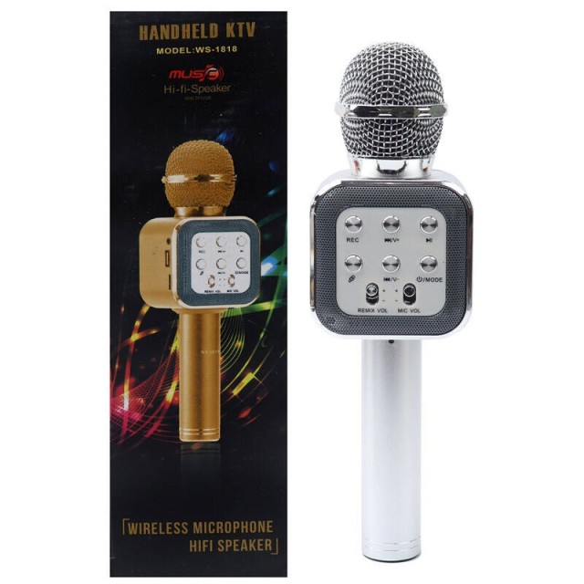 میکروفون و اسپیکر WSTER WS-1818