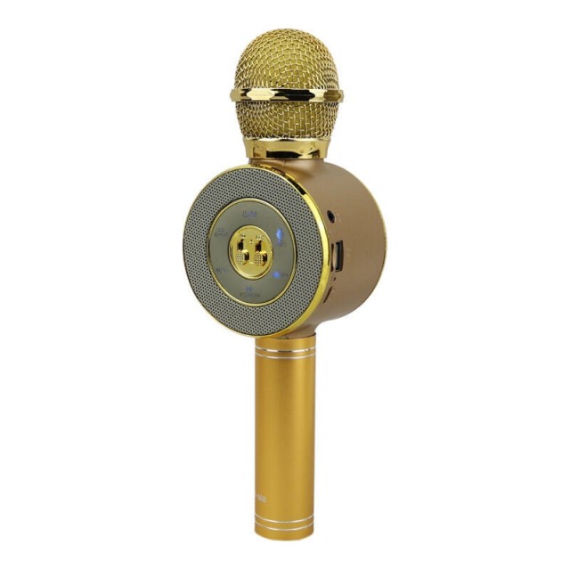 میکروفون و اسپیکر Bodn.Kadn BK-668