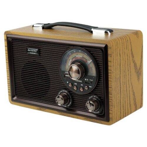 رادیو اسپیکر بلوتوثی رم و فلش خور Raiseng R-9022BT