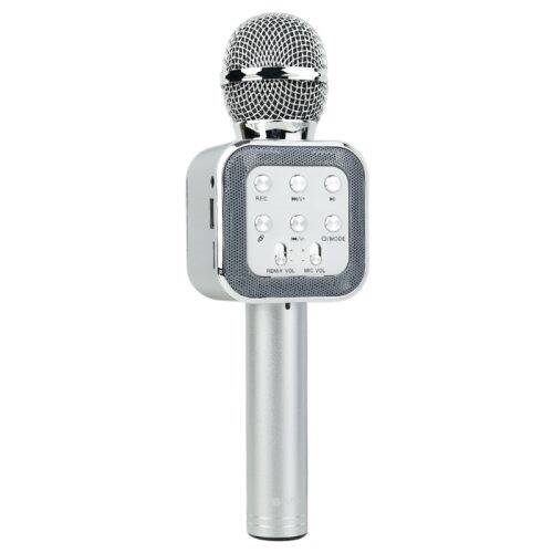 میکروفون و اسپیکر ProOne PMB66N