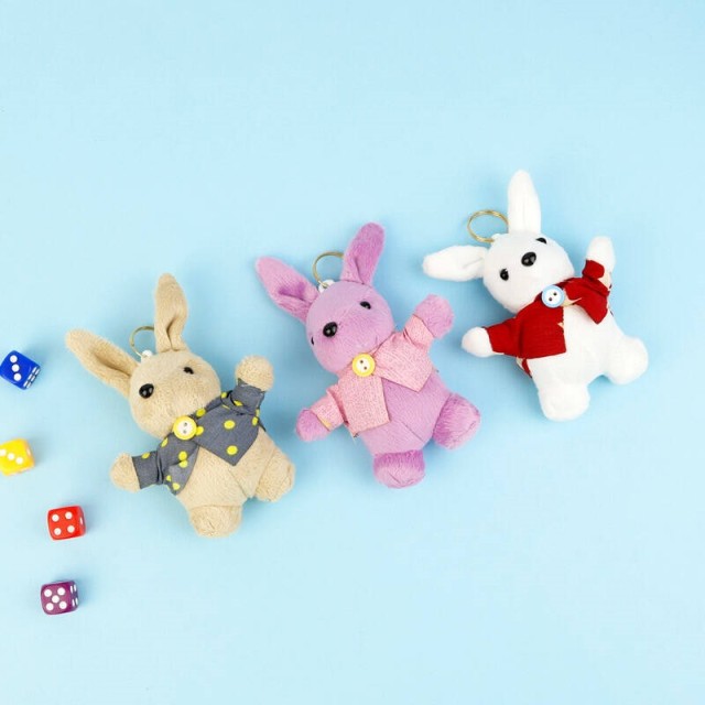 جا کلیدی خرگوش هاوایی