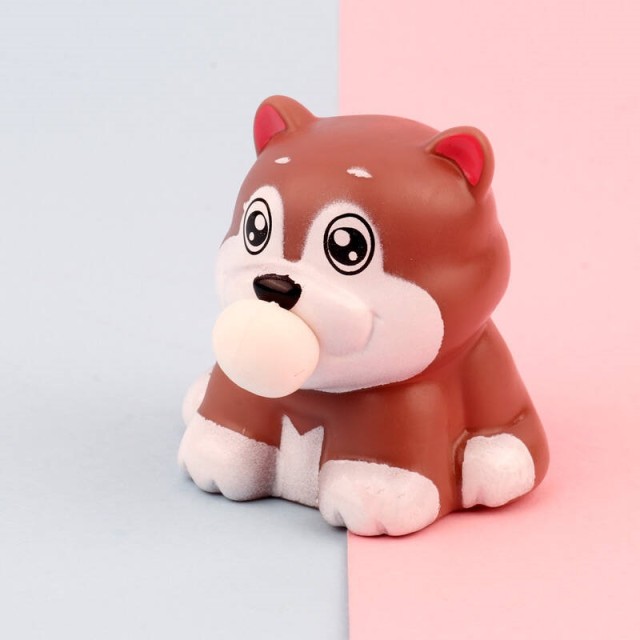 فیجت سگ بادکنکی