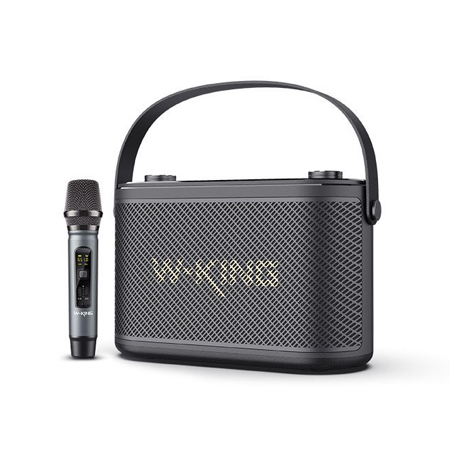 اسپیکر بلوتوث دبلیو کینگ W-King H10S توان 80 رم و فلش خور با میکروفون