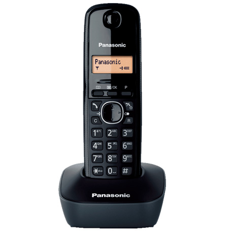 تلفن بی سیم Panasonic KX-TG1611 + گارانتی