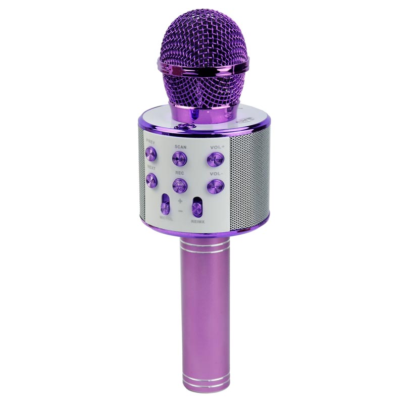 میکروفون و اسپیکر WS-858 High Copy