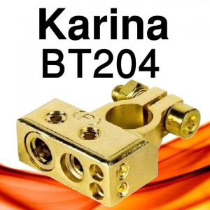 204-KARINA BT سر باتری کارینا
