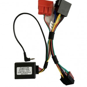 Interface اینترفیس پایونیر به پرشیا و پژوپارس