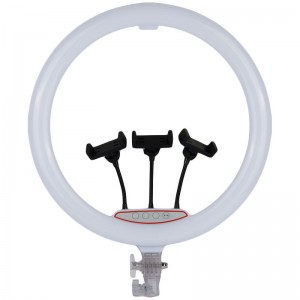 رینگ لایت "RGB LED 3D-45 17