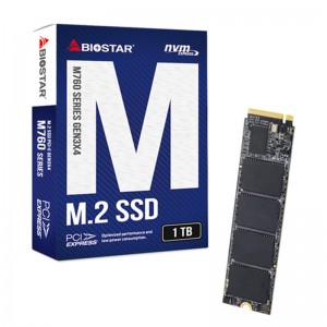 حافظه SSD بایوستار Biostar M760 1TB M.2