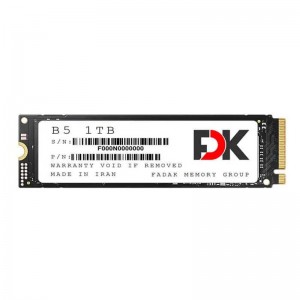 حافظه SSD فدک FDK B5 1TB M.2