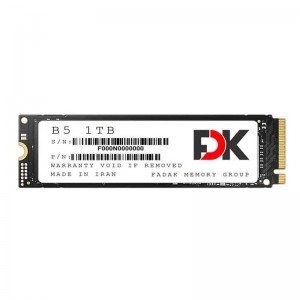 حافظه SSD فدک FDK B5 M.2