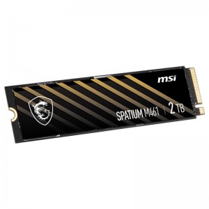 ام اس آی MSI Spatium M461 2TB M.2