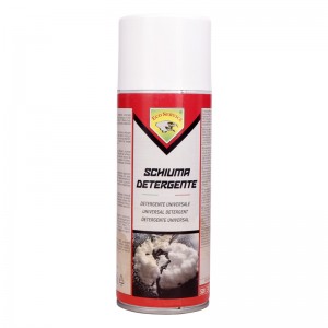 اسپری فوم تمیزکننده Eco Service Schiuma Detergente 400ml