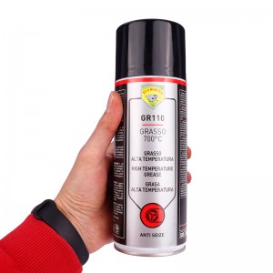 اسپری گریس Eco Service Grasso 700 GR110 400ml