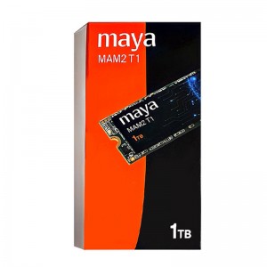 حافظه SSD مایا Maya MAM2 T1 1TB M.2