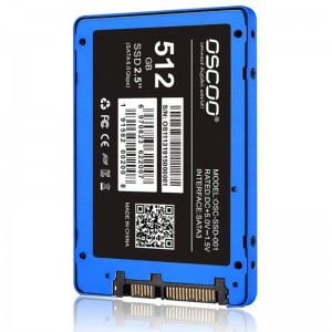 حافظه SSD اوسکو Oscoo Blue 001 512GB