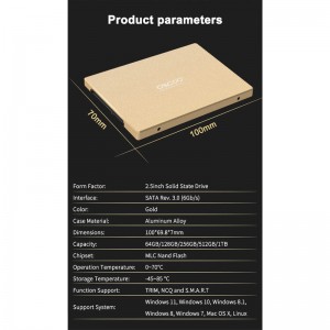 حافظه SSD اوسکو Oscoo GOLD 001 512GB