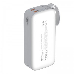 پاور بانک فست شارژ الدینیو PQ30 QC3.0 PD3.0 22.5W ظرفیت 30000 میلی آمپر ساعت