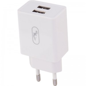 شارژر دیواری 10.5 وات اسکای دلفین SC30 2.1A