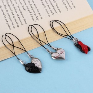 آویز فلش و موبایل ست مگنتی