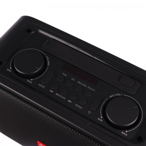 اسپیکر بلوتوثی پرووان PSB4927 + ریموت کنترل