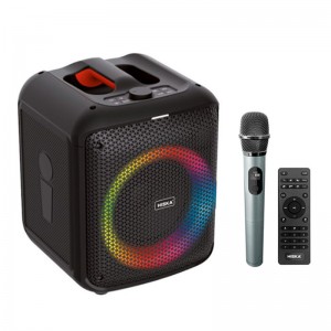 اسپیکر بلوتوثی هیسکا B175 + میکروفون و ریموت کنترل