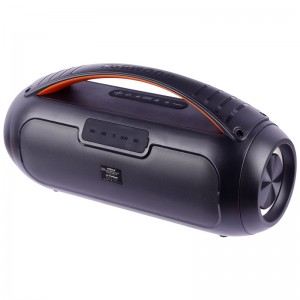 اسپیکر بلوتوثی هیسکا B114 + ریموت کنترل