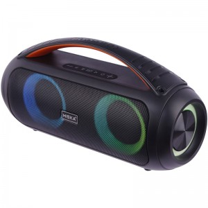 اسپیکر بلوتوثی هیسکا B114 + ریموت کنترل