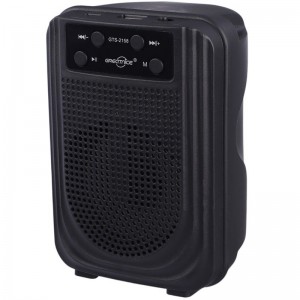 اسپیکر بلوتوثی گریت نایس GTS-2158 + میکروفون